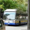 03/08/09 Linea 3 gestita con autobus deviata in via Verolengo